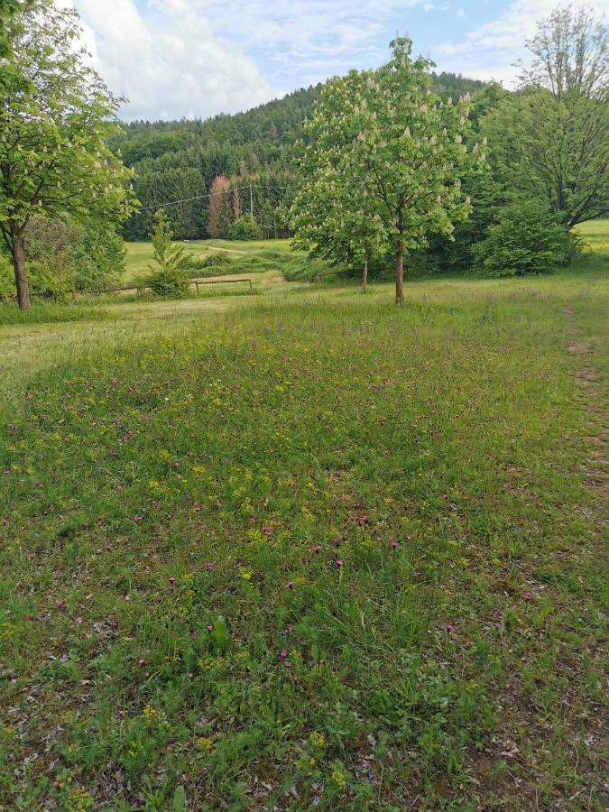 Landhotel Oelmuehle Mombris Esterno foto